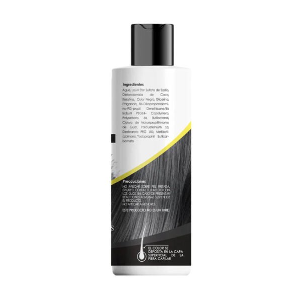 Shampoo Matizante Negro 240 ml Shaylet